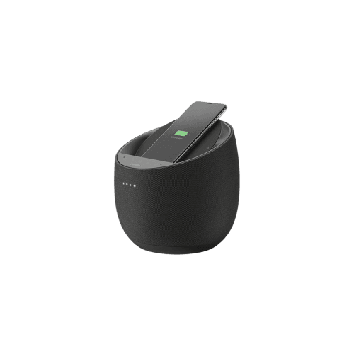 Product image of Ranasonic Charger